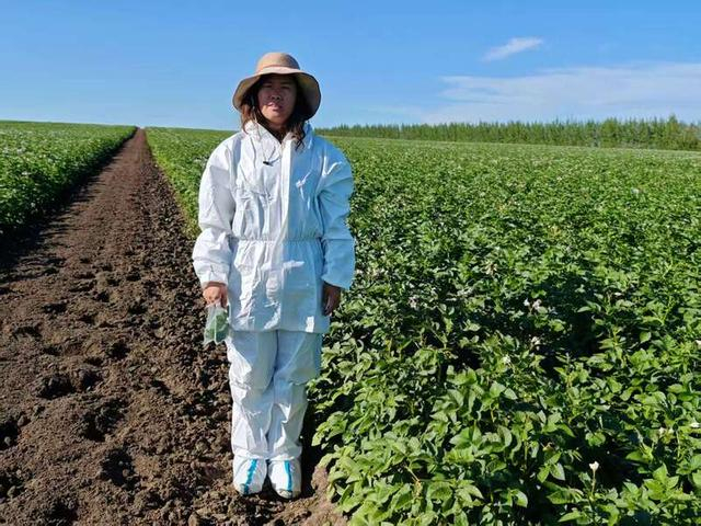 林团荣在田间地头工作。受访者供图