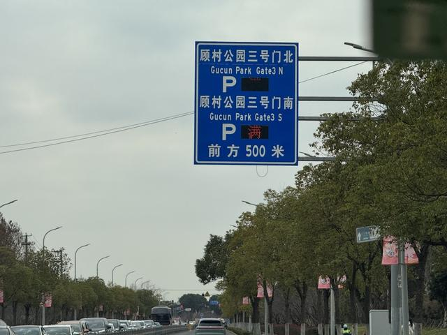 上海顾村公园外车流如织，停车场全满。澎湃新闻记者 唐莹莹 摄