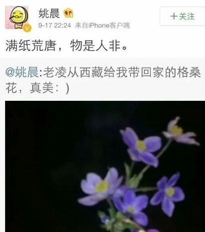 2014年，姚晨对于爆料的回应，当时的头像仍然是那颗卤蛋。（图/微博）