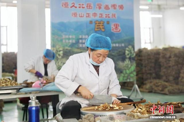 当地工作人员正在分拣黄芪。宋佳烨 摄