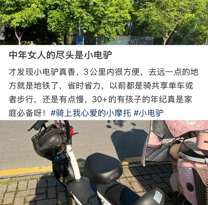 （图/猪妈妈）
