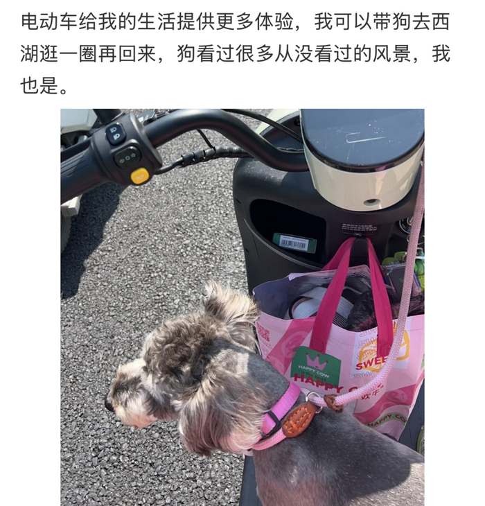 （图/鲁衲老师）