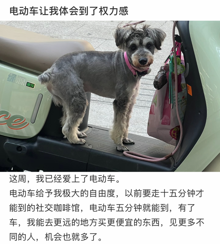 （图/鲁衲老师）