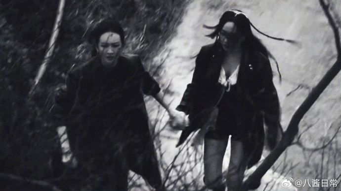 观众为什么将王鸥杨蓉在节目中的互动称为‘私奔感’？_手机新浪网