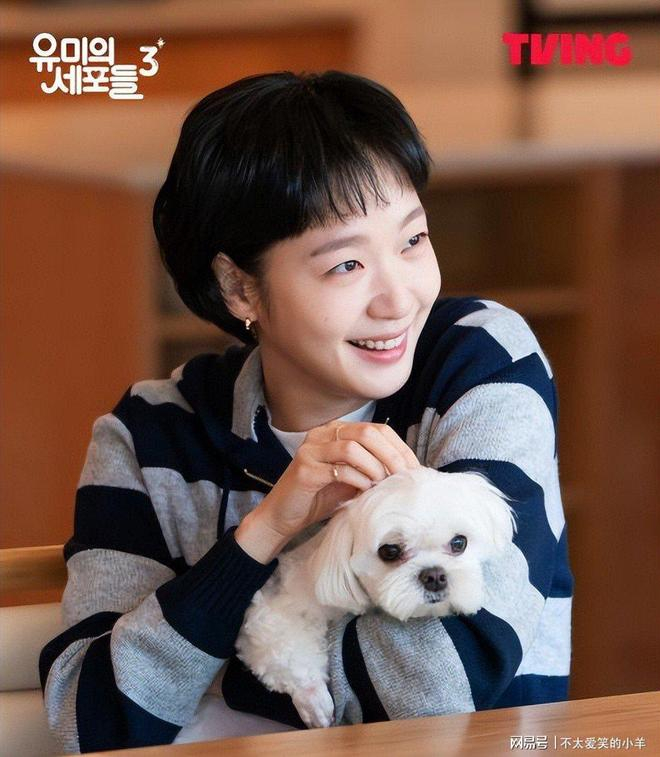 （图源：TVING《柔美的细胞小将3》剧照）