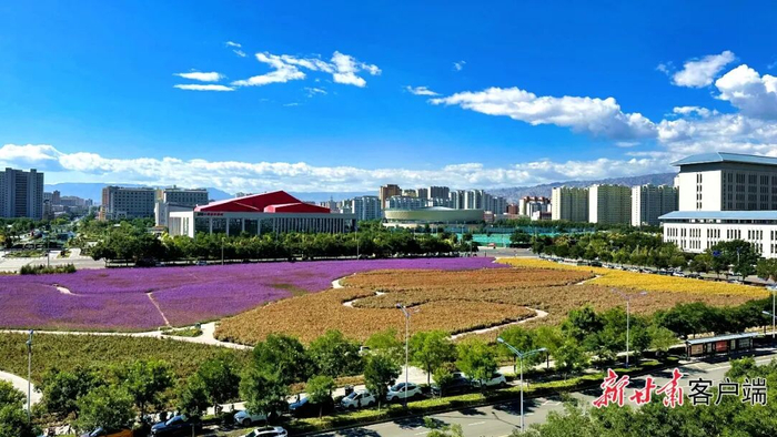 凉州城区花草葱郁、生机盎然。本文图片均由新甘肃·甘肃日报记者 金奉乾摄