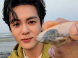 曾舜晞的海边直播是如何颠覆传统明星粉丝互动模式的？
