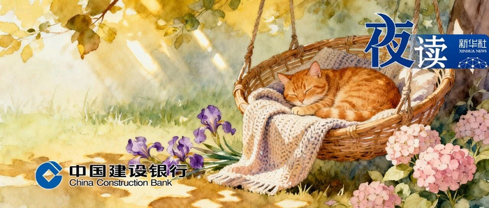 夜读丨别把人生这3个“开关”，交到别人手上