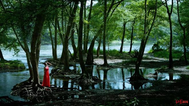 《创意黄山 美在徽州》剧照