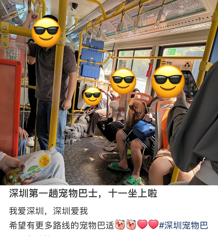 （图/小红书@十一麻麻）
