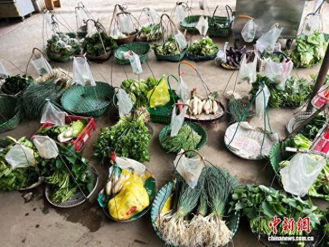 图为广西南宁市西乡塘区乐洲村的“无人菜摊”。韦佳彤 摄