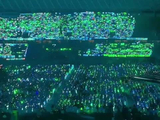 丁禹兮粉丝晒巅峰之夜绿色灯牌