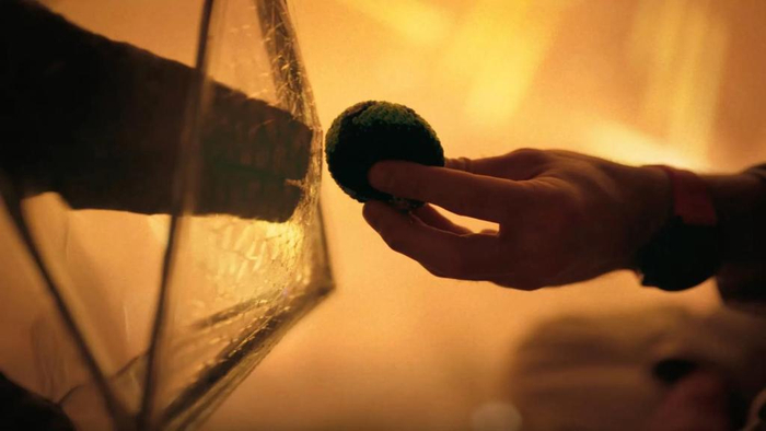 格雷斯和洛基的情感互动