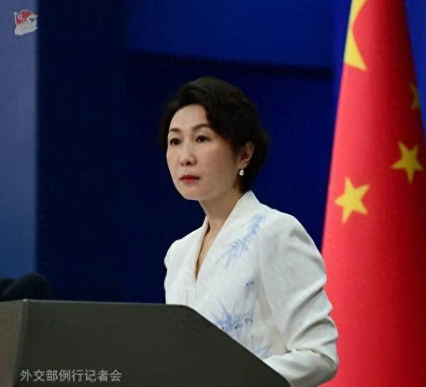 毛宁资料图。图源：外交部网站