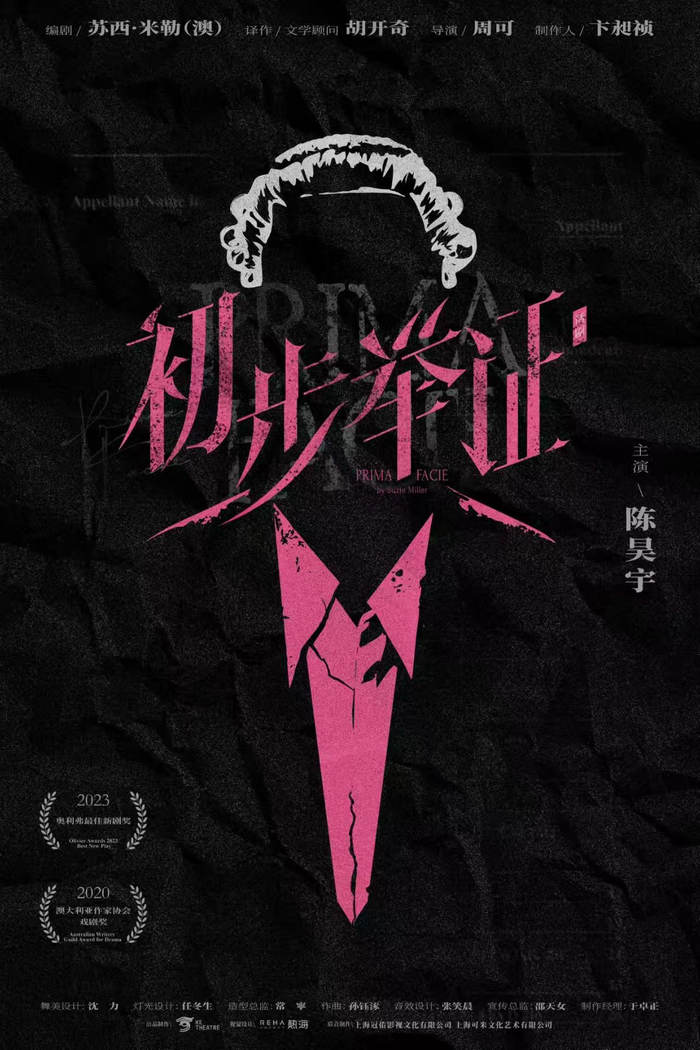 陈昊宇出演《初步举证》海报