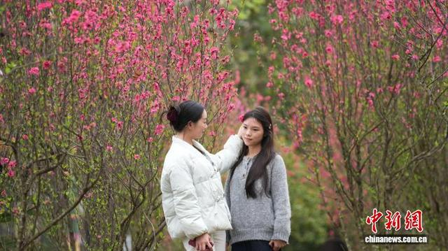 图为游客在赏花。梁秀明 摄