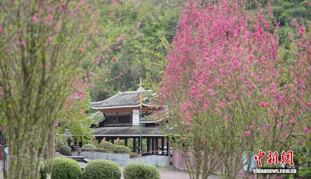 图为当地桃花美景。梁秀明 摄
