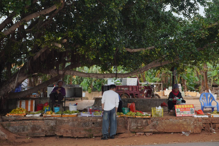 春节期间，涠洲岛的岛民在景区路边摆摊卖水果，发展旅游后，这也增加了他们的收入。新京报记者 左琳 摄