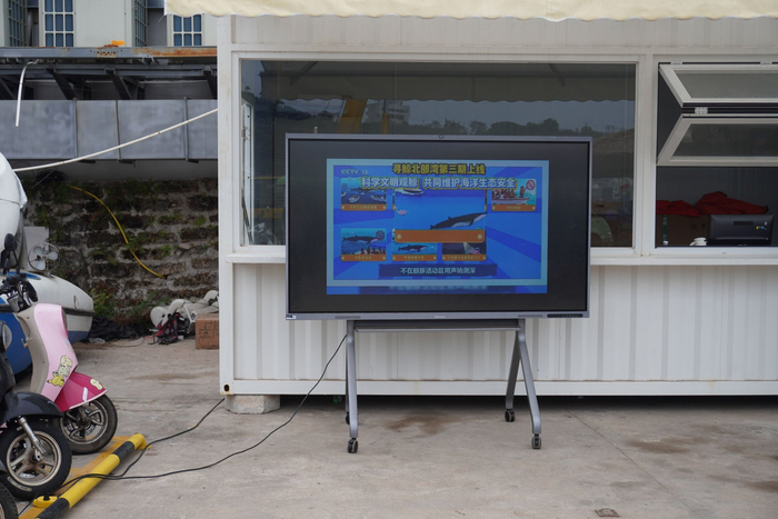 出海码头循环播放布氏鲸科普资料，附近都是等待出海的游客，但几乎没人停留观看。新京报记者 左琳 摄