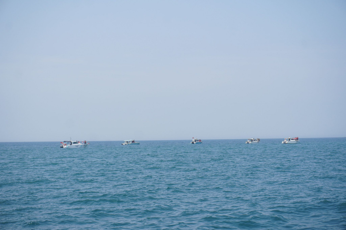 2月22日，海上的观鲸船围成一圈，等待鲸的出现。新京报记者 左琳 摄