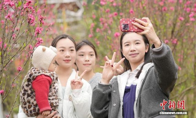 图为游客在赏花拍照。梁秀明 摄