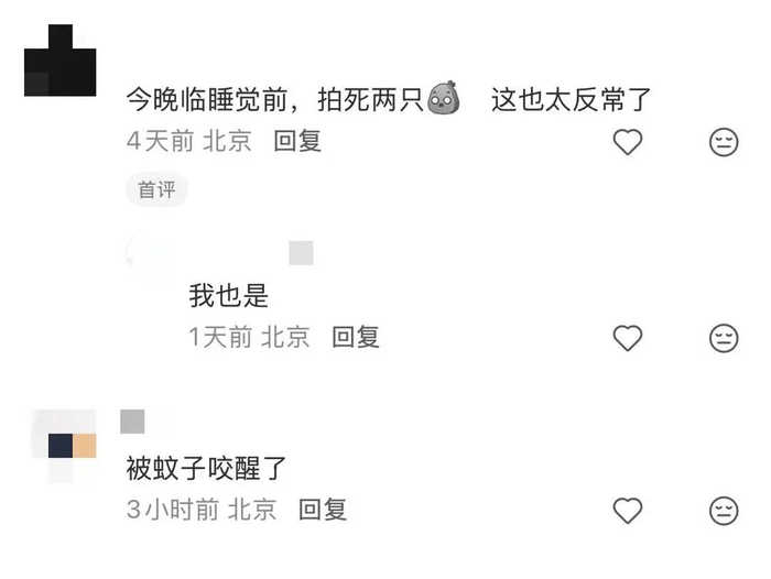 北京网友称已被蚊子“骚扰”