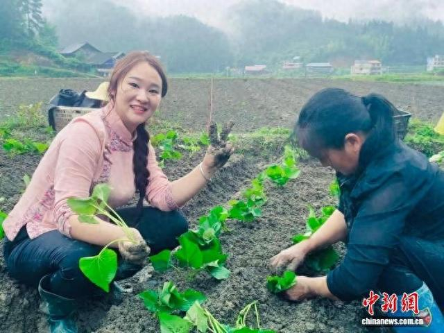 “红薯妹”刘星和村民在春耕现场。受访者 供图