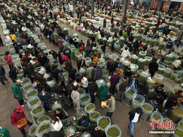 3月31日，茶叶市场交易大厅内人头攒动。（无人机照片）中新社记者 孙杨洋 摄