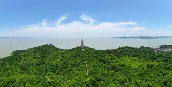 姥山岛上树木郁郁葱葱。吕国中 摄