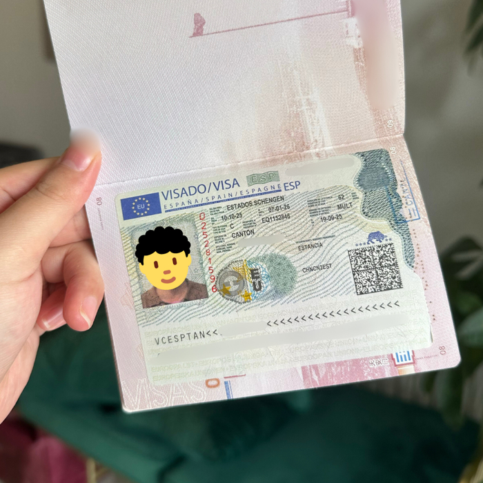 已出签的申根签证示意图