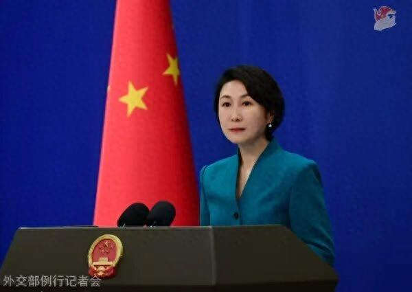 毛宁资料图。图源：外交部网站