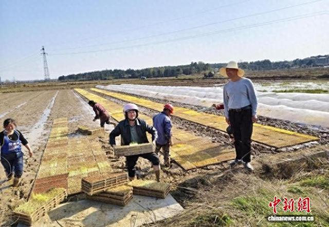 图为江西省抚州市崇仁县“春耕备耕”党外服务小分队的队员为农户提供技术指导。崇仁县委统战部供图