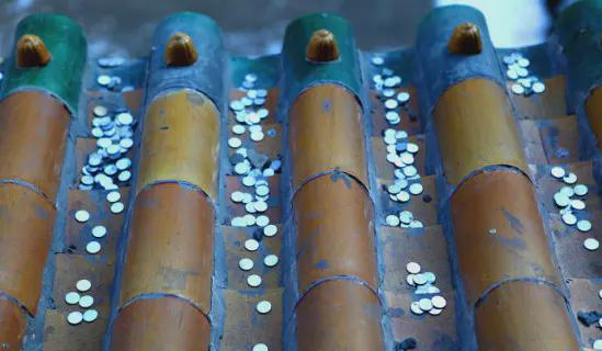  打开网易新闻 查看精彩图片 