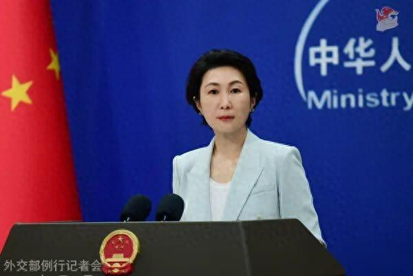 毛宁资料图。图源：外交部网站