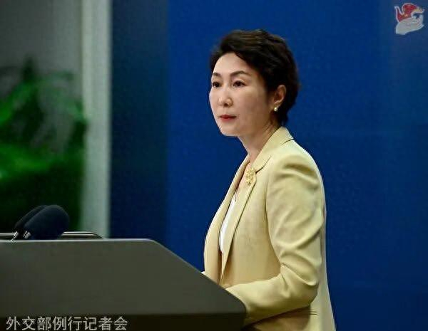 毛宁资料图。图源：外交部网站