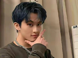李马克在NCT DREAM告别演唱会上情绪崩溃的场景具体是怎样的？