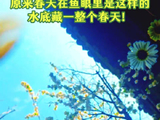 小阿七加盟清明奇妙游，4月4日共赴春日之约