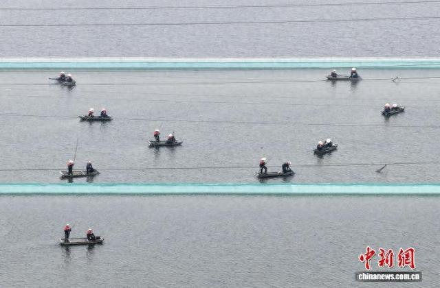 2026年江苏盱眙龙虾正式开捕。中新网记者 泱波 摄