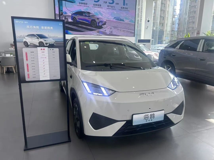 △比亚迪海鸥 图源：时代周报记者摄