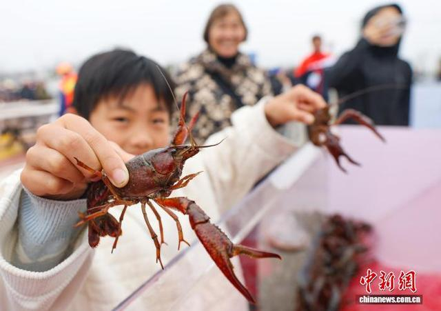 盱眙头网虾抢“鲜”上市。中新网记者 泱波 摄