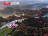 贵州百里杜鹃盛放姹紫嫣红，刘宇宁邀约打卡大美中国
