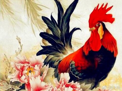 赚多少钱都足够低调，第一季度稳住进步，生活美好不缺钱的生肖