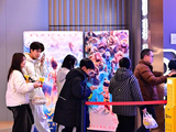 距离春节31天仅有两部电影定档，今年的春节档要打什么牌？