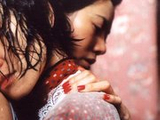 孤恋花- 2005年曹瑞源执导电视剧