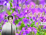 和邓为一起走进紫色的春天里