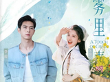 定了！李现搭档张婧仪主演《雾里青》，导演瞿友宁打造华丽爱情