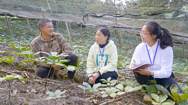图为双柏县纪检监察干部深入爱尼山乡重楼种植基地调研产业发展情况。（王先才 摄）
