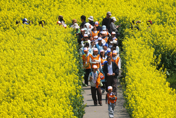     4月2日，在江苏省兴化市千垛景区，学生利用春假踏青游玩。新华社发（史道智摄）