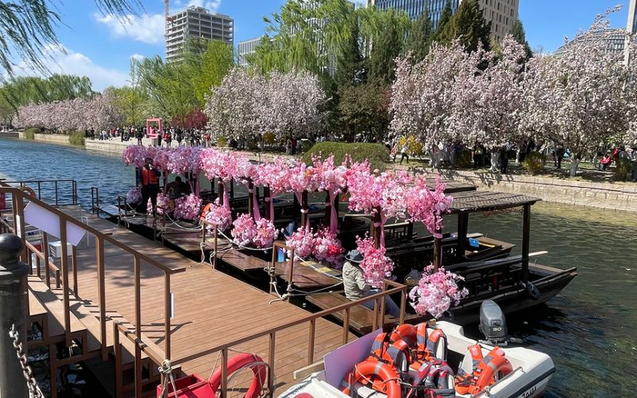 元大都海棠花溪，因大风天气，赏花游船停靠岸边。新京报记者 吴婷婷 摄
