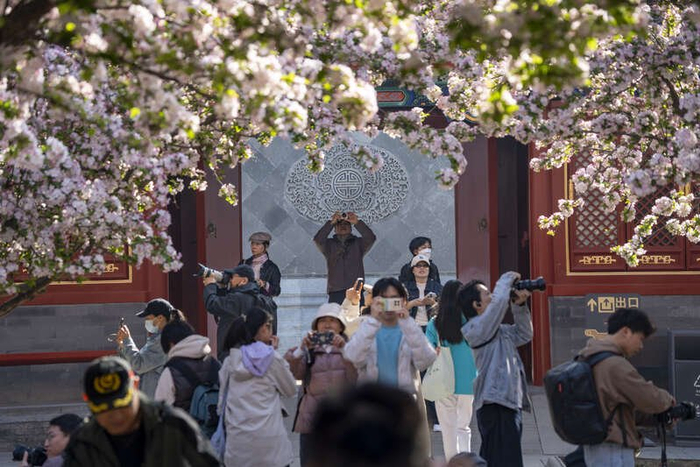 4月4日，北京，清明假期第一天，不少市民游客来到恭王府踏青赏花。视觉中国供图